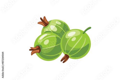 Fresh green gooseberries cluster