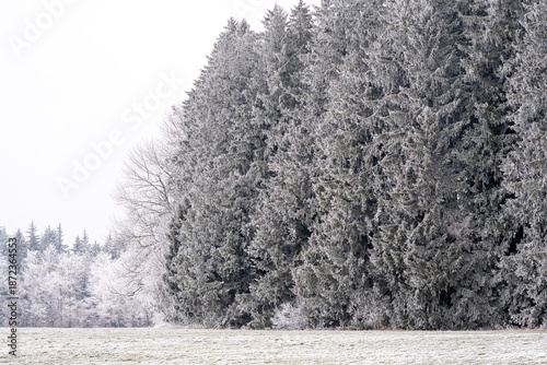 Photos Frost covers trees and landscape in a winter scene near a forest during a cold m