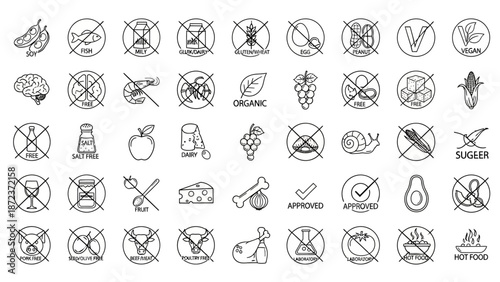 A charming collection of vibrant and cozy winter hats, featuring an assortment of playful designs, from animal-themed trappers to colorful knitted beanies, perfect for cold weather fashion.