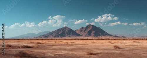 A vast desert landscape stretches to a mountain range under a clear sky