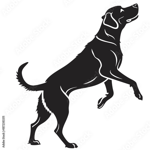 Black dog silhouette
