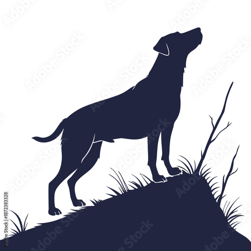 Dog standing on hill