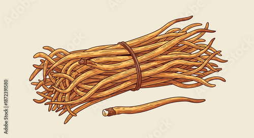 Hand drawn botanical illustration of a bundle of orange cordyceps mushrooms tied with a brown string on light background.