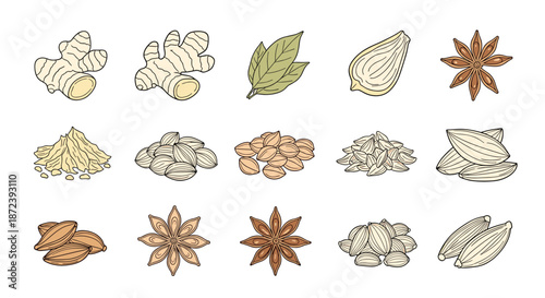 Hand drawn illustration grid of various cooking spices and herbs including ginger, bay leaves, star anise, and cardamom on white background.