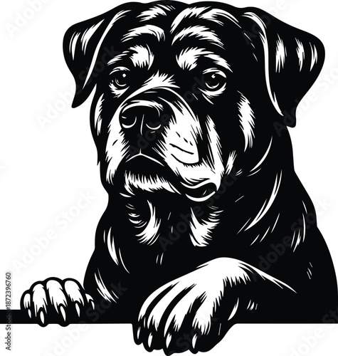 Wallpaper Mural Rottweiler Dog Peeking Silhouette - Peeking Rottweiler Head - Guard Dog Portrait Design, Loyal Canine Peeking Torontodigital.ca