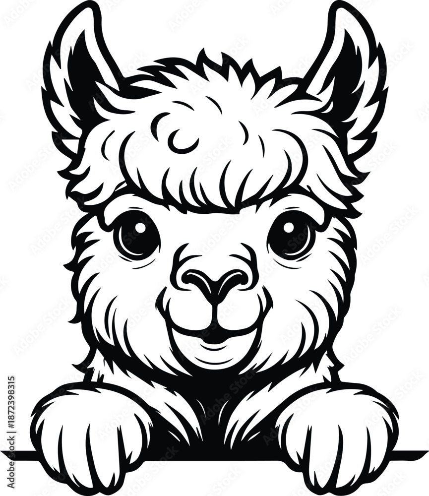 Obraz premium Peeking Llama Design - Cute Llama Peeking Over - Woolly Llama Silhouette, Llama Head Peeking Out - Farm Animal Character Clipart