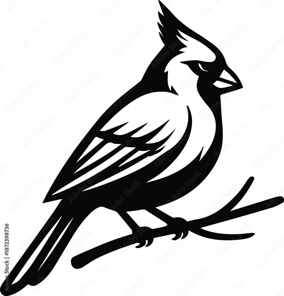 Fototapeta premium Simple Cardinal Bird Design - Cardinal Silhouette - Sparrow Bird, Sparrow Silhouette Design - Backyard Bird Simple design