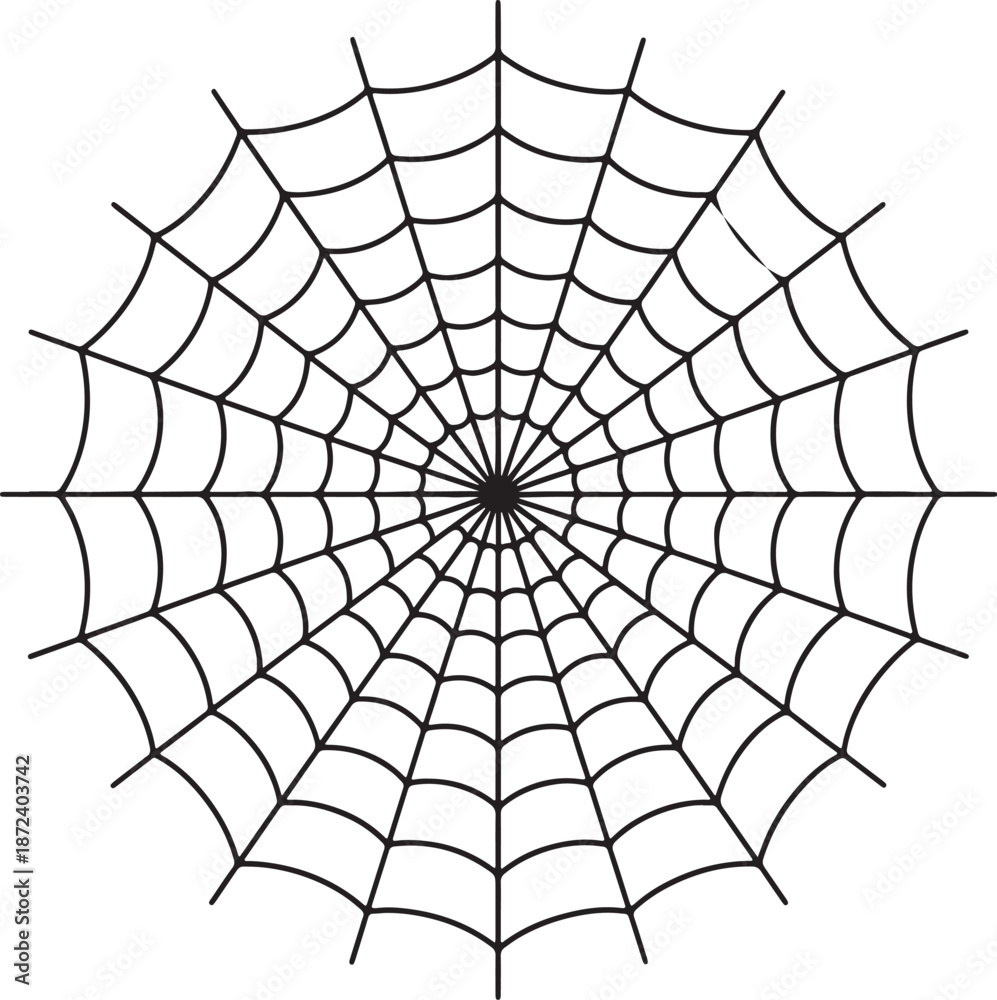Fototapeta premium Intricate black and white spider web pattern with geometric shapes and radial symmetry also transparent background