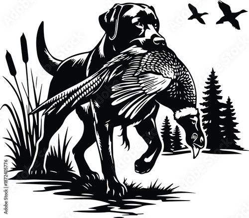Labrador Retriever Pheasant design - Hunting Dog with Bird in Mouth - Pheasant Hunting Lab Design - Lab with Pheasant in Mouth - Hunting Retriever Dog - Upland Bird Hunting Vector design