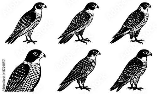 Six black and white falcon silhouettes on a white background bird of prey