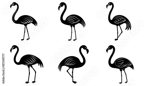Six black and white flamingo silhouettes on white background bird