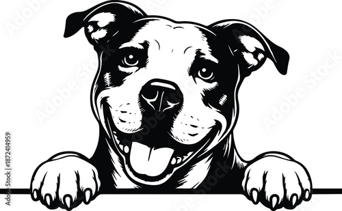 Peeking Pitbull Dog - Pitbull Face Peeking Design - American Staffordshire Terrier Clipart - Peeking American Pitbull - Dog Lover Design - Playful Pitbull Face