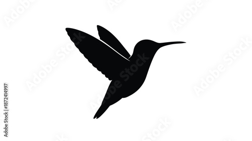 A striking black hummingbird in flight a beautiful dark silhouette