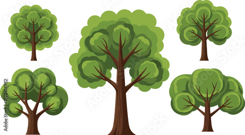 Cartoon green tree vector set featuring deciduous forest trees nature illustration landscape design elements isolated collection