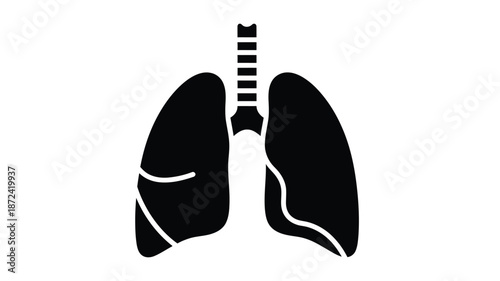 Anatomical illustration of human lungs with trachea a simplified black and white depiction