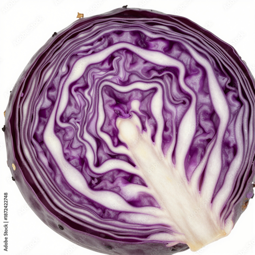 Obraz premium Cross-section of fresh red cabbage revealing intricate purple and white layered spirals