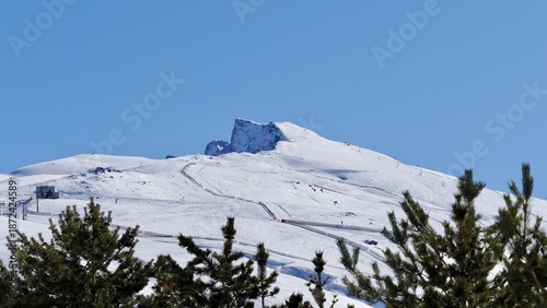view of the Veleta peak through the trees in Sierra Nevada  (Granada, Spain) on a sunny winter morning
