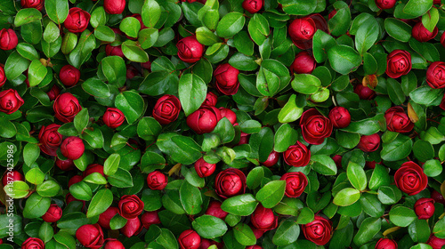Seamless pattern of mini red roses surrounded by vibrant green leaves, creating lush and romantic atmosphere