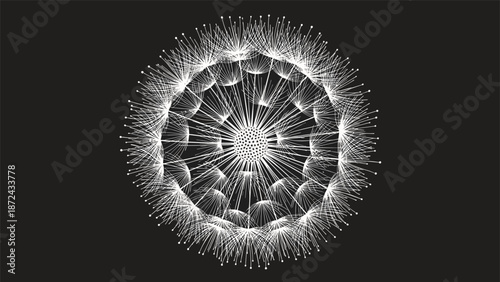 Detailed white illustration of a large dandelion seed head in full bloom with fine radiating lines on a solid black background.