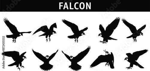 Falcon Silhouettes Collection in Various Poses