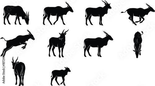 Antelope silhouette illustration, black antelope, wildlife vector, standing antelope, walking antelope, running antelope, leaping antelope, grazing antelope, nature art, safari animal