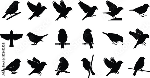 Bird silhouettes, flying birds, perched birds, black shapes, wing positions, gray background, nature art, educational, design resource, avian diversity