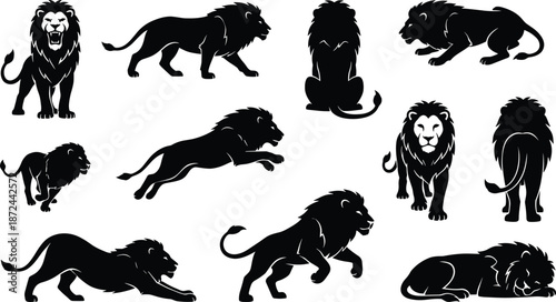 Black lion silhouettes, wild feline poses, jungle king shapes, lion movement study, animal shadow art, wildlife vector illustration, design elements