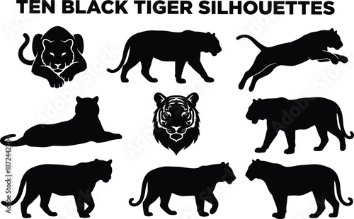 Black tiger silhouettes, wild animal poses, jungle predator shapes, tiger movement study, feline shadow art, wildlife vector illustration, design elements