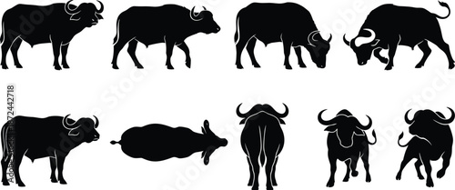 Buffalo silhouette illustration, black buffalo, wildlife vector, standing buffalo, walking buffalo, grazing buffalo, lying buffalo, rear view, top-down view, frontal view, nature art, safari anima