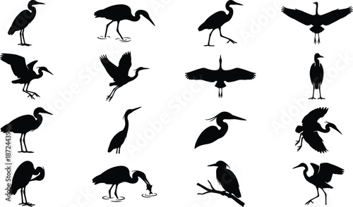 Heron silhouettes, flying birds, perched herons, black shapes, wing positions, gray background, nature art, educational, water bird, graceful postureHeron silhouettes, flying birds, perched herons