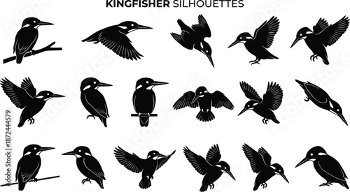 Kingfisher silhouettes, flying birds, perched kingfishers, black shapes, diving poses, hovering wings, gray background, nature art, educational, birdwatching reference