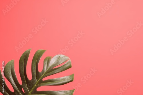 シンプルな設定でピンクの背景に緑の葉
