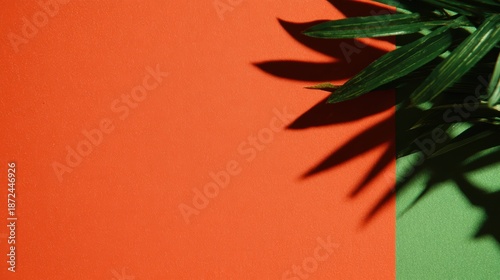 植物の葉を持つ紙上の色と影