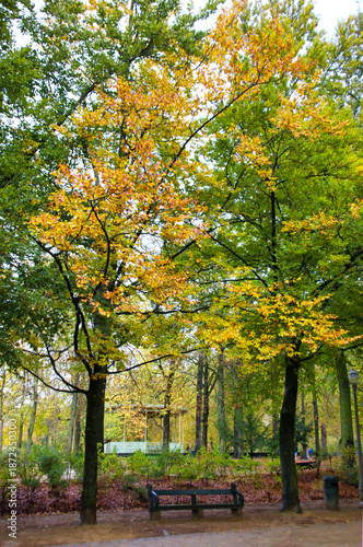 Awesome autumnal view in the park in Northern Europe: a bench, a path and high trees.