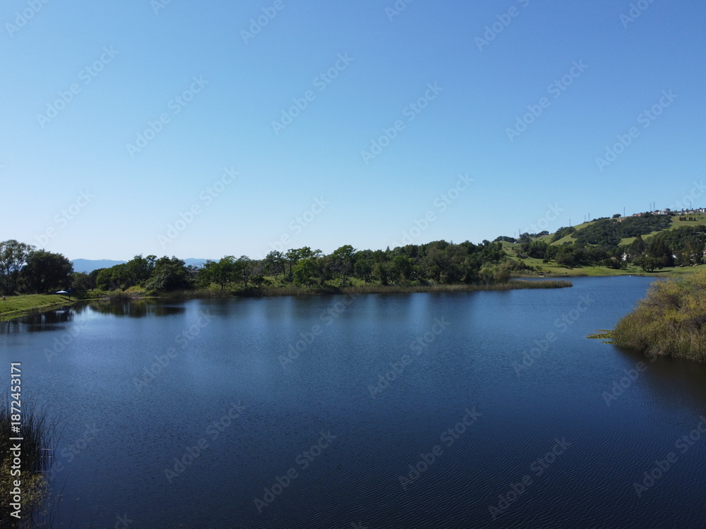 Fototapeta premium LAGO CON BOSQUE.