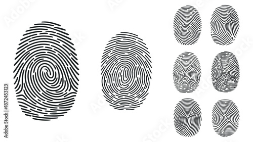 Diverse Biometric Fingerprint Patterns for Identity and Security Applications