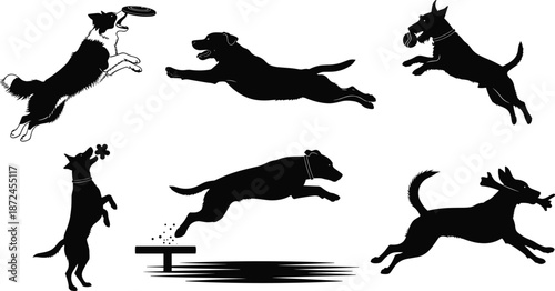 Dogs jumping, catching toys mid-air, black silhouettes, frisbee, ball, flower, vector art, pet agility, playful animal motion