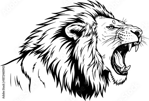Roaring Lion – Black and White Vector Illustration, Fierce Wildlife Outline, Majestic Big Cat, Predatory Animal Line Art Sketch