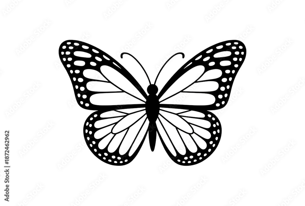 Obraz premium Elegant butterfly silhouette with detailed wings on white