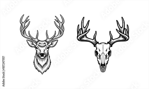 Detailed Hand-Drawn Deer Head and Skull with Antlers Illustration Set.