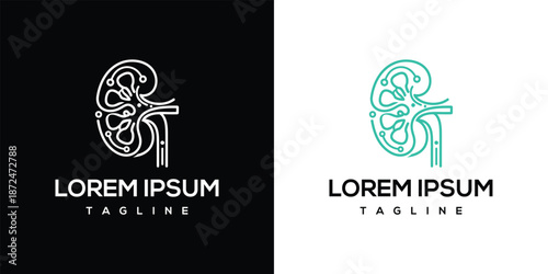 Kidney anatomy illustration presented in a dual-color graphic design template with placeholder text