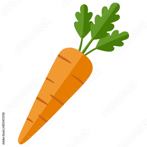 Fresh whole Carrot vegetable. Farm carrot plant icon. Organic garden vegetarian food. Vector illustration isolated on white background.