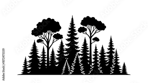 Silhouette of Trees Forest Landscape Scene.