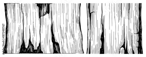 Vertical tree trunk texture with bark and cracks hand drawn sketch