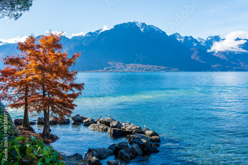 Фотография Montreux lakeside promenade autumn scenery
