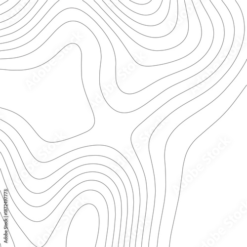 Vector illustration. Topographic map world. Geography.
