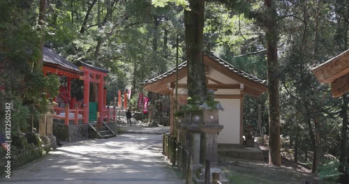 Walking Through Serene Japanese Temple Gardens