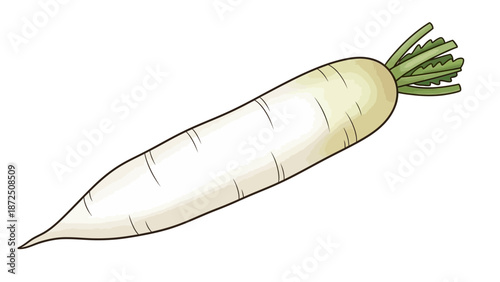 Fresh White Daikon Radish Illustration with Green Stems