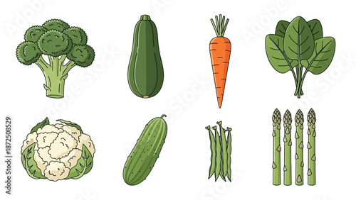 A collection of fresh, healthy vegetables including broccoli, zucchini, carrots, spinach, cauliflower, cucumber, green beans, and asparagus