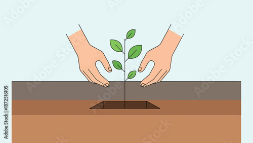 hands planting a small green seedling into the layered soil representing environmental conservation sustainable growth and future hope.